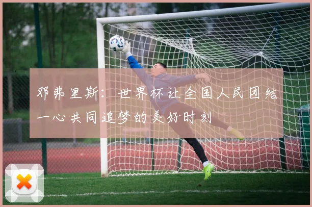 邓弗里斯：世界杯让全国人民团结一心共同追梦的美好时刻