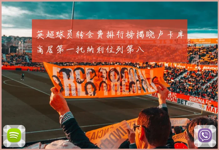 英超球员转会费排行榜揭晓卢卡库高居第一托纳利位列第八